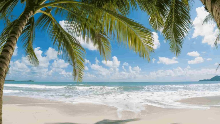 Palasa Beach Albania